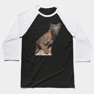 Fossa Baseball T-Shirt